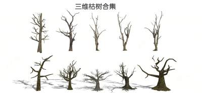 现代枯树 树枝 树干